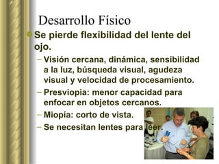Desarrollo Físico Se pierde flexibilidad del lente del ojo. Visión cercana, dinámica, sensibilidad a la luz, búsqueda visual, agudeza visual y velocidad de procesamiento.  Presviopia: menor capacidad para enfocar en objetos cercanos.  Miopía: corto de vista.  Se necesitan lentes para leer. 