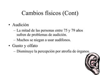 Cambios físicos (Cont) Audición La mitad de las personas entre 75 y 79 años sufren de problemas de audición. Muchos se niegan a usar audífonos. Gusto y olfato Disminuye la percepción por atrofia de órganos. 