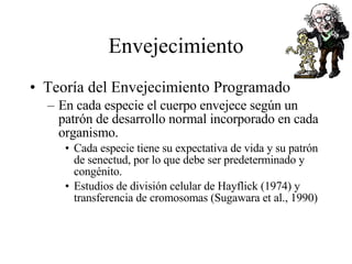 Envejecimiento Teoría del Envejecimiento Programado En cada especie el cuerpo envejece según un patrón de desarrollo normal incorporado en cada organismo. Cada especie tiene su expectativa de vida y su patrón de senectud, por lo que debe ser predeterminado y congénito. Estudios de división celular de Hayflick (1974) y transferencia de cromosomas (Sugawara et al., 1990) 