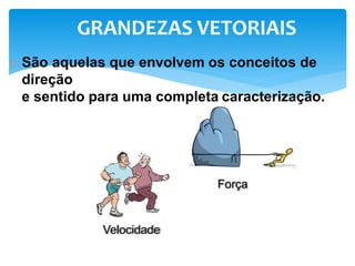 GRANDEZAS VETORIAIS
 São aquelas que envolvem os conceitos de
direção
e sentido para uma completa caracterização.
Força
Velocidade
 