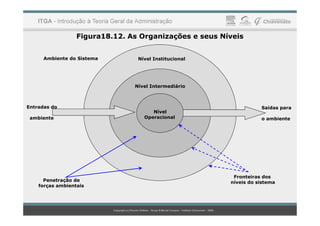 Figura18.12. As Organizações e seus Níveis
Nível Institucional
Nível Intermediário
Nível
Ambiente do Sistema
Entradas do Saídas para
Penetração de
forças ambientais
Fronteiras dos
níveis do sistema
Nível
Operacional
ambiente o ambiente
 