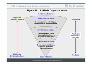 Figura 18.13. Níveis Organizacionais
Ambiente Externo
Nível Institucional
É o componente estratégico.
Formulação de políticas gerais.
Nível Intermediário
Lógica de
Sistema Aberto Incerteza
É o componente tático.
Elaboração de planos e
programas específicos.
Nível Operacional
É o componente técnico.
Execução de rotinas
e procedimentos.
Núcleo Técnico
Lógica de
Sistema Fechado
Certeza
Mediação
(limitação da
incerteza)
 