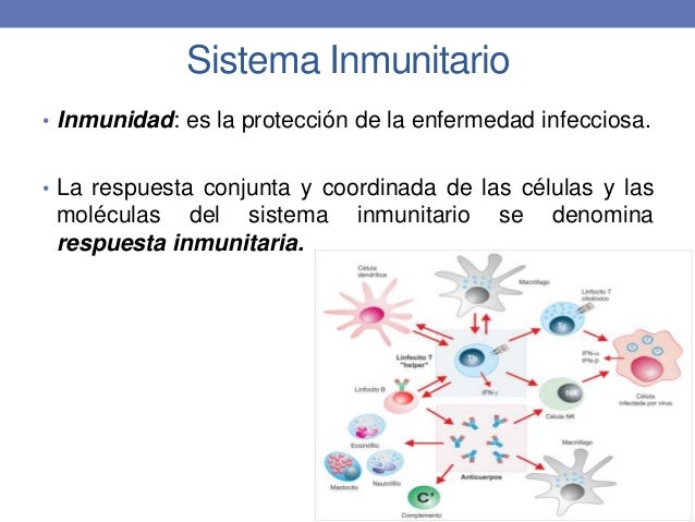 Capítulo 19 respuesta inmunitaria