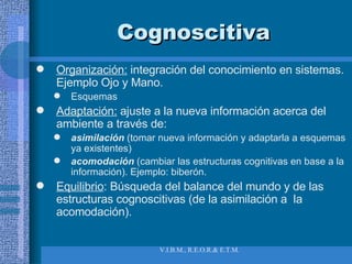Cognoscitiva Organización:  integración del conocimiento en sistemas. Ejemplo Ojo y Mano. Esquemas  Adaptación:  ajuste a la nueva información acerca del ambiente a través de: asimilación  (tomar nueva información y adaptarla a esquemas ya existentes) acomodación   (cambiar las estructuras cognitivas en base a la información). Ejemplo: biberón. Equilibrio : Búsqueda del balance del mundo y de las estructuras cognoscitivas (de la asimilación a  la acomodación). 