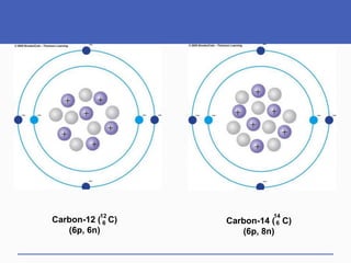 Carbon-12 ( C)
(6p, 6n)
12
6 Carbon-14 ( C)
(6p, 8n)
14
6
 