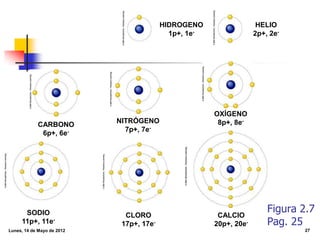 jueves, 29 de enero de 2015 27
HIDROGENO
1p+, 1e-
HELIO
2p+, 2e-
CARBONO
6p+, 6e-
NITRÓGENO
7p+, 7e-
OXÍGENO
8p+, 8e-
SODIO
11p+, 11e-
CLORO
17p+, 17e-
CALCIO
20p+, 20e-
Figura 2.7
Pag. 25
 