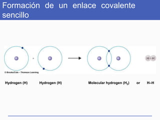 Hydrogen (H) Molecular hydrogen (H2) or H–HHydrogen (H)
Formación de un enlace covalente
sencillo
 