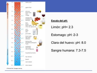 Escala del pH:
Limón: pH= 2.3
Estomago: pH: 2-3
Clara del huevo: pH: 8.0
Sangre humana: 7.3-7.5
 