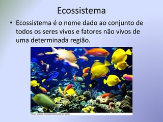 Ecossistema
• Ecossistema é o nome dado ao conjunto de
todos os seres vivos e fatores não vivos de
uma determinada região.
 
