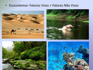 • Ecossistema= Fatores Vivos + Fatores Não Vivos
 