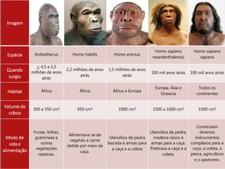 Imagem
Espécie Ardipithecus Homo habilis Homo erectus
Homo sapiens
neanderthalensis
Homo sapiens
sapiens
Quando
surgiu
+ 4,5 a 5,5
milhões de anos
atrás
2,2 milhões de anos
atrás
1,5 milhões de anos
atrás
200 mil anos atrás 100 mil anos atrás
Habitat África África África e Europa
Europa, Ásia e
Oceania
Todos os
continentes
Volume do
crânio
300 a 350 cm³ 650 cm³ 1000 cm³ 1500 a 1600 cm³ 1500 cm³
Modo de
vida e
alimentação
Frutas, folhas,
gramíneas e
outras
vegetações
rasteiras.
Alimentava-se de
vegetais e carne
obtida por meio da
caça.
Utensílios de pedra
lascada e armas para
a caça e a coleta
Utensílios de pedra,
madeira ossos e
armas para a caça.
Praticava a caça e a
coleta.
Construíam
diversos
instrumentos
complexos para a
caça, a coleta, a
pesca, agricultura
e o pastoreio.
 