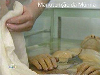 Manutenção da Múmia
 