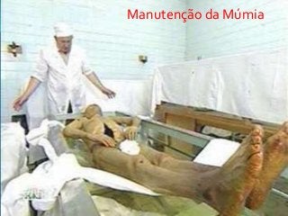 Manutenção da Múmia
 