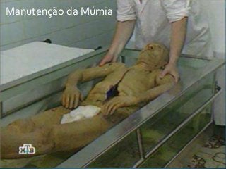 Manutenção da Múmia
 