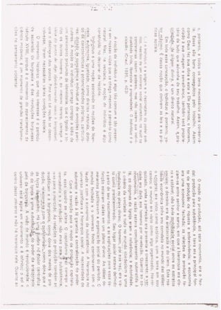 Capítulo 2 - A visão Liberal do Homem - De Sofia C D Oliveira 