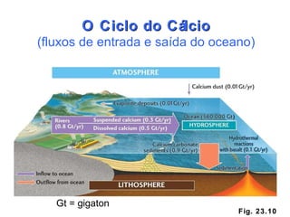 Fig. 23.10 O Ciclo do Cálcio (fluxos de entrada e saída do oceano) Gt = gigaton 
