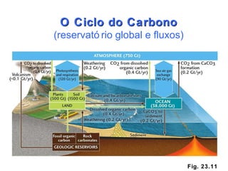 Fig. 23.11 O Ciclo do Carbono (reservatório global e fluxos) 