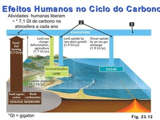 Fig. 23.12 Efeitos Humanos no Ciclo do Carbono Atividades  humanas liberam ~ * 7,1 Gt de carbono na atmosfera a cada ano *Gt = gigaton 