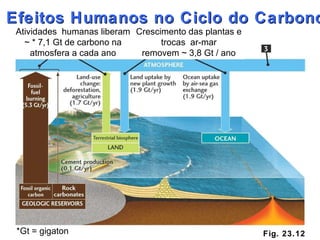 Fig. 23.12 Efeitos Humanos no Ciclo do Carbono Atividades  humanas liberam ~ * 7,1 Gt de carbono na atmosfera a cada ano *Gt = gigaton Crescimento das plantas e trocas  ar-mar removem ~ 3,8 Gt / ano 