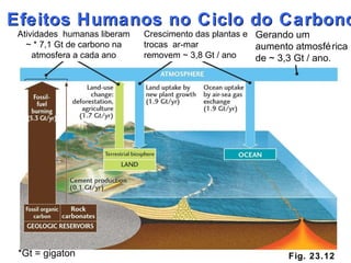 Fig. 23.12 Efeitos Humanos no Ciclo do Carbono Atividades  humanas liberam ~ * 7,1 Gt de carbono na atmosfera a cada ano *Gt = gigaton Crescimento das plantas e trocas  ar-mar removem ~ 3,8 Gt / ano Gerando um aumento atmosférica de ~ 3,3 Gt / ano . 