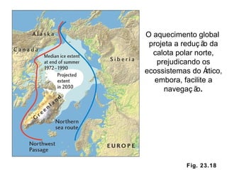 Fig. 23.18 O aquecimento global  projeta a redução da calota polar norte, prejudicando os ecossistemas do Ártico, embora, facilite a navegação . 