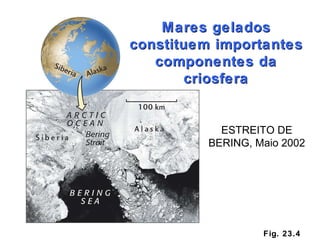 Fig. 23.4 Mares gelados constituem importantes componentes da criosfera ESTREITO DE BERING, Maio 2002 