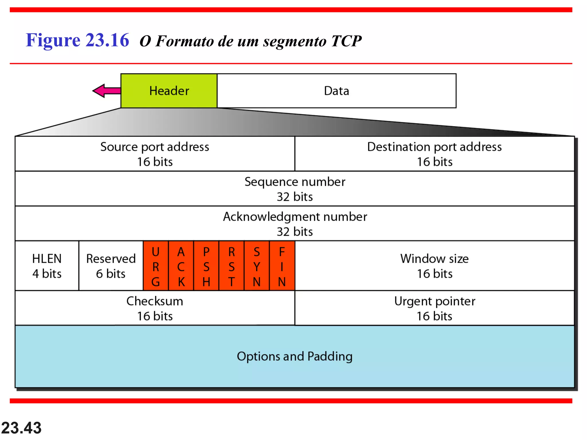 23.43
Figure 23.16 O Formato de um segmento TCP
 