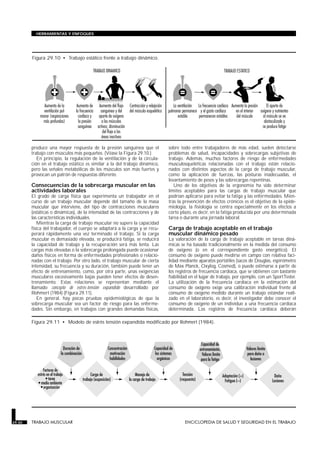 produce una mayor respuesta de la presión sanguínea que el
trabajo con músculos más pequeños. (Véase la Figura 29.10.)
En principio, la regulación de la ventilación y de la circula-
ción en el trabajo estático es similar a la del trabajo dinámico,
pero las señales metabólicas de los músculos son más fuertes y
provocan un patrón de respuestas diferente.
Consecuencias de la sobrecarga muscular en las
actividades laborales
El grado de carga física que experimenta un trabajador en el
curso de un trabajo muscular depende del tamaño de la masa
muscular que interviene, del tipo de contracciones musculares
(estáticas o dinámicas), de la intensidad de las contracciones y de
las características individuales.
Mientras la carga de trabajo muscular no supere la capacidad
física del trabajador, el cuerpo se adaptará a la carga y se recu-
perará rápidamente una vez terminado el trabajo. Si la carga
muscular es demasiado elevada, se producirá fatiga, se reducirá
la capacidad de trabajo y la recuperación será más lenta. Las
cargas más elevadas o la sobrecarga prolongada puede ocasionar
daños físicos en forma de enfermedades profesionales o relacio-
nadas con el trabajo. Por otro lado, el trabajo muscular de cierta
intensidad, su frecuencia y su duración, también puede tener un
efecto de entrenamiento, como, por otra parte, unas exigencias
musculares excesivamente bajas pueden tener efectos de desen-
trenamiento. Estas relaciones se representan mediante el
llamado concepto de estrés-tensión expandido desarrollado por
Rohmert (1984) (Figura 29.11).
En general, hay pocas pruebas epidemiológicas de que la
sobrecarga muscular sea un factor de riesgo para las enferme-
dades. Sin embargo, en trabajos con grandes demandas físicas,
sobre todo entre trabajadores de más edad, suelen detectarse
problemas de salud, incapacidades y sobrecargas subjetivas de
trabajo. Además, muchos factores de riesgo de enfermedades
musculosqueléticas relacionadas con el trabajo están relacio-
nados con distintos aspectos de la carga de trabajo muscular,
como la aplicación de fuerzas, las posturas inadecuadas, el
levantamiento de pesos y las sobrecargas repentinas.
Uno de los objetivos de la ergonomía ha sido determinar
límites aceptables para las cargas de trabajo muscular que
podrían aplicarse para evitar la fatiga y las enfermedades. Mien-
tras la prevención de efectos crónicos es el objetivo de la epide-
miología, la fisiología se centra especialmente en los efectos a
corto plazo, es decir, en la fatiga producida por una determinada
tarea o durante una jornada laboral.
Carga de trabajo aceptable en el trabajo
muscular dinámico pesado
La valoración de la carga de trabajo aceptable en tareas diná-
micas se ha basado tradicionalmente en la medida del consumo
de oxígeno (o en el correspondiente gasto energético). El
consumo de oxígeno puede medirse en campo con relativa faci-
lidad mediante aparatos portátiles (sacos de Douglas, espirómetro
de Max Planck, Oxylog, Cosmed), o puede estimarse a partir de
los registros de frecuencia cardíaca, que se obtienen con bastante
fiabilidad en el lugar de trabajo, por ejemplo, con un SportTester.
La utilización de la frecuencia cardíaca en la estimación del
consumo de oxígeno exige una calibración individual frente al
consumo de oxígeno medido durante un trabajo estándar reali-
zado en el laboratorio, es decir, el investigador debe conocer el
consumo de oxígeno de un individuo a una frecuencia cardíaca
determinada. Los registros de frecuencia cardíaca deberán
29.30 TRABAJO MUSCULAR ENCICLOPEDIA DE SALUD Y SEGURIDAD EN EL TRABAJO
HERRAMIENTAS Y ENFOQUES
Figura 29.10 • Trabajo estático frente a trabajo dinámico.
Figura 29.11 • Modelo de estrés tensión expandida modificado por Rohmert (1984).
 