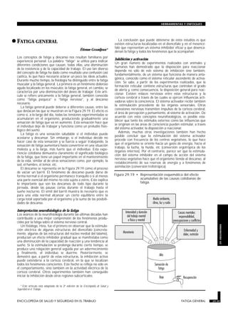 •FATIGA GENERAL
FATIGA GENERAL
Étienne Grandjean*
Los conceptos de fatiga y descanso nos resultan familiares por
experiencia personal. La palabra “fatiga” se utiliza para indicar
diferentes condiciones que causan, todas ellas, una disminución
de la resistencia y de la capacidad de trabajo. El uso tan diverso
del concepto de fatiga ha dado como resultado una confusión casi
caótica, lo que hace necesario aclarar un poco las ideas actuales.
Durante mucho tiempo, la fisiología ha distinguido entre la fatiga
muscular y la fatiga general. La primera es un fenómeno doloroso
agudo localizado en los músculos; la fatiga general, en cambio, se
caracteriza por una disminución del deseo de trabajar. Este artí-
culo se refiere únicamente a la fatiga general, también conocida
como “fatiga psíquica” o “fatiga nerviosa”, y al descanso
necesario.
La fatiga general puede deberse a diferentes causas, entre las
que destacan las que se muestran en la Figura 29.19. El efecto es
como si, a lo largo del día, todas las tensiones experimentadas se
acumularan en el organismo, produciendo gradualmente una
sensación de fatiga que va en aumento. Esta sensación hace que
el individuo deje de trabajar y funciona como un preludio fisio-
lógico del sueño.
La fatiga es una sensación saludable si el individuo puede
acostarse y descansar. Sin embargo, si el individuo decide no
hacer caso de esta sensación y se fuerza a seguir trabajando, la
sensación de fatiga aumentará hasta convertirse en una situación
molesta y, a la larga, más fuerte que el individuo. Esta expe-
riencia cotidiana demuestra claramente el significado biológico
de la fatiga, que tiene un papel importante en el mantenimiento
de la vida, similar al de otras sensaciones como, por ejemplo, la
sed, el hambre, el temor, etc.
El descanso se representa en la Figura 29.19 como el proceso
de vaciar un barril. El fenómeno de descanso puede darse de
forma normal si el organismo permanece tranquilo o si al menos
una parte esencial del mismo no está sujeta a estrés. Esto explica
lo importante que son los descansos de todo tipo durante la
jornada, desde las pausas cortas durante el trabajo hasta el
sueño nocturno. El símil del barril muestra lo necesario que es
para una vida normal alcanzar un cierto equilibrio entre la
carga total soportada por el organismo y la suma de las posibili-
dades de descanso.
Interpretación neurofisiológica de la fatiga
Los avances de la neurofisiología durante las últimas décadas han
contribuido a una mejor comprensión de los fenómenos produ-
cidos por la fatiga sobre el sistema nervioso central.
Un fisiólogo, Hess, fue el primero en observar que la estimula-
ción eléctrica de algunas estructuras del diencéfalo (concreta-
mente, algunas de las estructuras del núcleo medial del tálamo),
producían un efecto inhibidor gradual que se manifestaba como
una disminución de la capacidad de reacción y una tendencia al
sueño. Si la estimulación se prolonga durante cierto tiempo, se
produce una relajación general seguida por un adormecimiento
y, finalmente, el individuo se duerme. Posteriormente, se
demostró que, a partir de estas estructuras, la inhibición activa
puede extenderse a la corteza cerebral, en la que se localizan
todos los fenómenos conscientes. Este hecho se refleja no sólo en
el comportamiento, sino también en la actividad eléctrica de la
corteza cerebral. Otros experimentos también han conseguido
iniciar la inhibición desde otras regiones subcorticales.
La conclusión que puede obtenerse de estos estudios es que
existen estructuras localizadas en el diencéfalo y en el mesencé-
falo que representan un sistema inhibidor eficaz y que desenca-
denan la fatiga y todos los fenómenos que la acompañan.
Inhibición y activación
Un gran número de experimentos realizados con animales y
humanos han demostrado que la disposición para reaccionar
depende no sólo de este sistema de inhibición sino también,
fundamentalmente, de un sistema que funciona de manera anta-
gónica, conocido como el sistema reticular ascendente de activa-
ción. Se sabe, a partir de los experimentos realizados, que la
formación reticular contiene estructuras que controlan el grado
de alerta y, como consecuencia, la disposición general para reac-
cionar. Existen enlaces nerviosos entre estas estructuras y la
corteza cerebral a través de las cuales se ejercen influencias acti-
vadoras sobre la consciencia. El sistema activador recibe también
la estimulación procedente de los órganos sensoriales. Otras
conexiones nerviosas transmiten impulsos de la corteza cerebral,
el área de percepción y pensamiento, al sistema de activación. De
acuerdo con estos conceptos neurofisiológicos, es posible esta-
blecer que tanto los estímulos externos como las influencias que
se originan en las áreas de consciencia pueden estimular, a través
del sistema activador, la disposición a reaccionar.
Además, muchas otras investigaciones también han hecho
posible concluir que la estimulación del sistema activador
procede con frecuencia de los centros vegetativos, lo que hace
que el organismo se oriente hacia un gasto de energía, hacia el
trabajo, la lucha, la huida, etc (conversión ergotrópica de los
órganos internos). Por el contrario, parece ser que la estimula-
ción del sistema inhibidor en el campo de acción del sistema
nervioso vegetativo hace que el organismo tienda al descanso, al
restablecimiento de sus reservas de energía y a fenómenos de
asimilación (conversión trofotrópica).
ENCICLOPEDIA DE SALUD Y SEGURIDAD EN EL TRABAJO 29.39 FATIGA GENERAL 29.39
HERRAMIENTAS Y ENFOQUES
29.
ERGONOMIA
Figura 29.19 • Representación esquemática del efecto
acumulativo de las causas cotidianas de
fatiga.
* Este artículo está adaptado de la 3ª edición de la Enciclopedia de Salud y
Seguridad en el Trabajo.
 