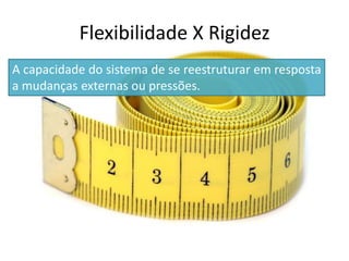 A capacidade do sistema de se reestruturar em resposta
a mudanças externas ou pressões.
Flexibilidade X Rigidez
 