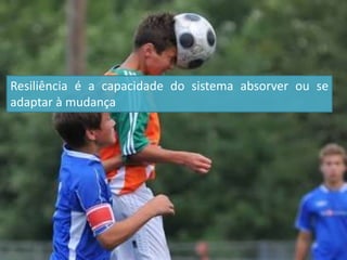 Resiliência é a capacidade do sistema absorver ou se
adaptar à mudança
 