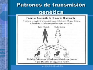 Patrones de transmisión genética 