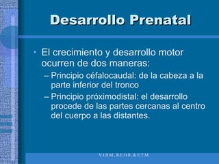 Desarrollo Prenatal El crecimiento y desarrollo motor ocurren de dos maneras: Principio céfalocaudal: de la cabeza a la parte inferior del tronco Principio próximodistal: el desarrollo procede de las partes cercanas al centro del cuerpo a las distantes. 