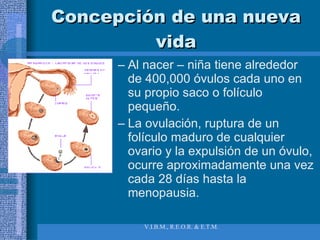 Concepción de una nueva vida Al nacer – niña tiene alrededor de 400,000 óvulos cada uno en su propio saco o folículo pequeño. La ovulación, ruptura de un folículo maduro de cualquier ovario y la expulsión de un óvulo, ocurre aproximadamente una vez cada 28 días hasta la menopausia. 