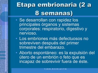 Etapa embrionaria (2 a 8 semanas) Se desarrollan con rapidez los principales órganos y sistemas corporales: respiratorio, digestivo y nervioso. Los embriones más defectuosos no sobreviven después del primer trimestre del embarazo. Aborto espontáneo: es la expulsión del útero de un embrión o feto que es incapaz de sobrevivir fuera de éste. 