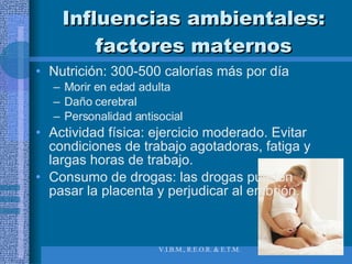 Influencias ambientales: factores maternos Nutrición: 300-500 calorías más por día Morir en edad adulta Daño cerebral Personalidad antisocial  Actividad física: ejercicio moderado. Evitar condiciones de trabajo agotadoras, fatiga y largas horas de trabajo. Consumo de drogas: las drogas pueden pasar la placenta y perjudicar al embrión. 