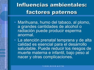 Influencias ambientales: factores paternos Marihuana, humo del tabaco, al plomo, a grandes cantidades de alcohol o radiación puede producir esperma anormal. La atención prenatal temprana y de alta calidad es esencial para el desarrollo saludable. Puede reducir los riesgos de muerte materna e infantil, bajo peso al nacer y otras complicaciones. 