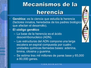 Mecanismos de la herencia Genética:  es la ciencia que estudia la herencia (factores innatos, heredados de los padres biológicos, que afectan el desarrollo). El código genético La base de la herencia es el ácido desoxirribonucleico (ADN). Las estructuras del ADN compone una larga escalera en espiral compuesta por cuatro unidades químicas llamadas bases: adenina, timina, citosina y guanina. Se estima tres mil millones de pares base y 65,000 a 80,000 genes. 