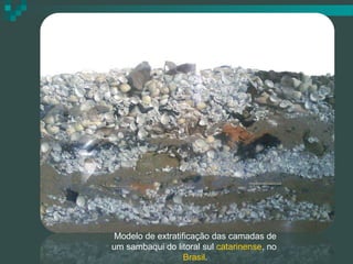 Modelo de extratificação das camadas de
um sambaqui do litoral sul catarinense, no
Brasil.

 