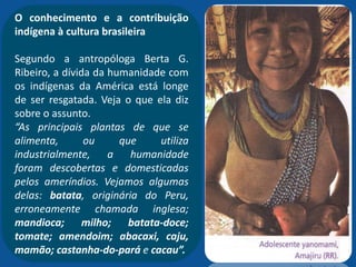 O conhecimento e a contribuição
indígena à cultura brasileira
Segundo a antropóloga Berta G.
Ribeiro, a dívida da humanidade com
os indígenas da América está longe
de ser resgatada. Veja o que ela diz
sobre o assunto.
“As principais plantas de que se
alimenta, ou que utiliza
industrialmente, a humanidade
foram descobertas e domesticadas
pelos ameríndios. Vejamos algumas
delas: batata, originária do Peru,
erroneamente chamada inglesa;
mandioca; milho; batata-doce;
tomate; amendoim; abacaxi, caju,
mamão; castanha-do-pará e cacau”.
 