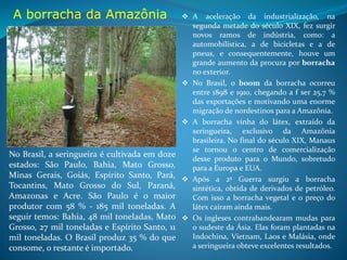 A borracha da Amazônia
 O Teatro Amazonas é testemunha desse breve período de esplendor vivido por
Manaus. Entre 1898 a 1910, a borracha foi o segundo produto da exportação
brasileira (25,7 %), perdendo apenas para o café, - 52,7%.
 A Amazônia foi responsável por quase 40% das exportações brasileiras. Manaus
era a capital mundial da venda de diamantes, e o seu teatro, com 681 lugares, foi
construído na Europa e trazido de navio para ser montado no Brasil.
 Sob o calor de 40 graus, os ricaços usavam terno, gravata-borboleta e colete,
imitando os ingleses. As mulheres vestiam-se com modelos parisienses.
 