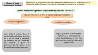Las enzimas se producen a partir del proceso que acabamos de ver, estas favorecen la
síntesis de lípido, glucógeno, purinas, pirimidinas y cientos de otras sustancias
Síntesis de otras
sustancias en la célula
regulación enzimática
la regulación genética
Control de la función genética y actividad bioquímica de las células.
Hay dos métodos de control de las actividades químicas de la
célula
cubre todo el proceso, desde la
transcripción del código genético
en el núcleo hasta la formación
de proteínas en el citoplasma,
esta controla el grado de
activación de los genes y la
formación de productos génicos
regula los niveles de actividad de
las enzimas ya formadas en la
célula. La célula tiene un ciclo vital
que transcurre desde el inicio de la
reproducción
 