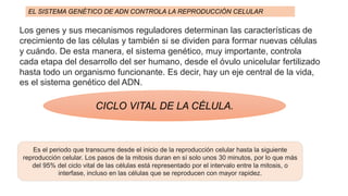 Los genes y sus mecanismos reguladores determinan las características de
crecimiento de las células y también si se dividen para formar nuevas células
y cuándo. De esta manera, el sistema genético, muy importante, controla
cada etapa del desarrollo del ser humano, desde el óvulo unicelular fertilizado
hasta todo un organismo funcionante. Es decir, hay un eje central de la vida,
es el sistema genético del ADN.
EL SISTEMA GENÉTICO DE ADN CONTROLA LA REPRODUCCIÓN CELULAR
CICLO VITAL DE LA CÉLULA.
Es el periodo que transcurre desde el inicio de la reproducción celular hasta la siguiente
reproducción celular. Los pasos de la mitosis duran en sí solo unos 30 minutos, por lo que más
del 95% del ciclo vital de las células está representado por el intervalo entre la mitosis, o
interfase, incluso en las células que se reproducen con mayor rapidez.
 