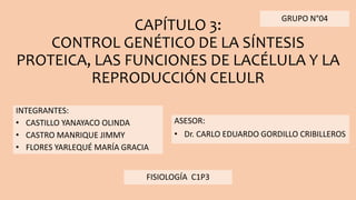 CAPÍTULO 3:
CONTROL GENÉTICO DE LA SÍNTESIS
PROTEICA, LAS FUNCIONES DE LACÉLULA Y LA
REPRODUCCIÓN CELULR
INTEGRANTES:
• CASTILLO YANAYACO OLINDA
• CASTRO MANRIQUE JIMMY
• FLORES YARLEQUÉ MARÍA GRACIA
ASESOR:
• Dr. CARLO EDUARDO GORDILLO CRIBILLEROS
FISIOLOGÍA C1P3
GRUPO N°04
 