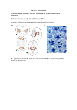 Capítulo 3 – Núcleo Celular

1) Resumidamente, descreva os principais componentes do núcleo celular de células
eucariontes.

2) Identifique as duas fases do ciclo Celular e suas subfases.

3) Observe as figuras e identifique a prófase, metáfase, anáfase e telófase:

3.1)                                                    3.2)




4) A apoptose é o processo de morte celular. Qual a aplicação desse processo nas glândulas
mamárias? Bons estudos!
 