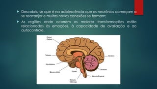  Descobriu-se que é na adolescência que os neurônios começam a
se rearranjar e muitas novas conexões se formam;
 As regiões onde ocorrem as maiores transformações estão
relacionadas às emoções, à capacidade de avaliação e ao
autocontrole.
 