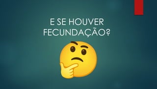 E SE HOUVER
FECUNDAÇÃO?
 