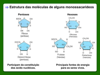 Pentoses Hexoses
Participam da constituição
dos ácido nucléicos.
Principais fontes de energia
para os seres vivos.
 Estrutura das moléculas de alguns monossacarídeos
 