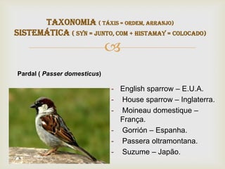 
- English sparrow – E.U.A.
- House sparrow – Inglaterra.
- Moineau domestique –
França.
- Gorrión – Espanha.
- Passera oltramontana.
- Suzume – Japão.
Pardal ( Passer domesticus)
TAXONOMIA ( Táxis = ordem, arranjo)
Sistemática ( syn = junto, com + histamay = colocado)
 