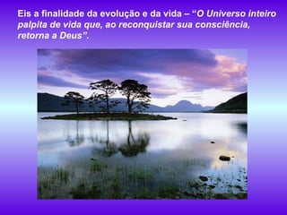 Eis a finalidade da evolução e da vida – “ O Universo inteiro palpita de vida que, ao reconquistar sua consciência, retorna a Deus”.   